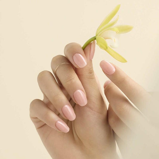 N Spring 001